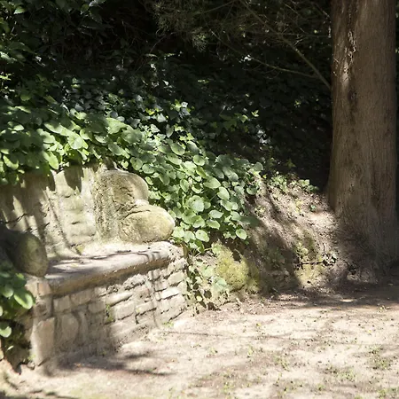 Cattani Stuart Xvii Secolo