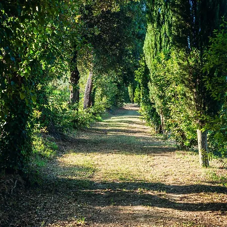 Hotel Cattani Stuart Pesaro