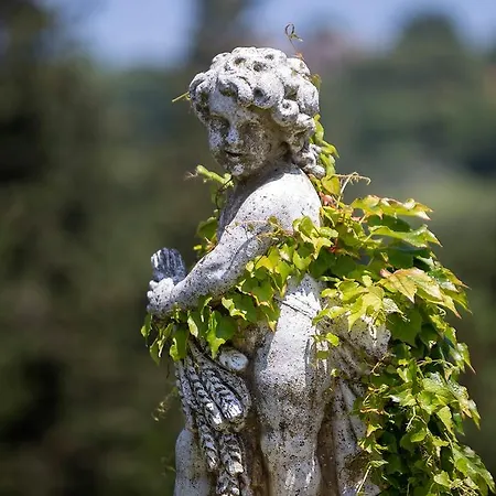 Cattani Stuart Xvii Secolo Pesaro